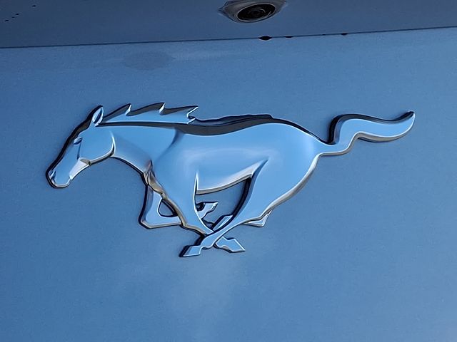 2025 Ford Mustang EcoBoost Premium Fastback - Photo 21