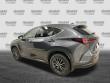 2025 LEXUS NX 350h Luxury SUV
