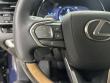 2025 LEXUS RX 350 350 Luxury SUV