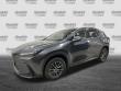 2025 LEXUS NX 350h Luxury SUV