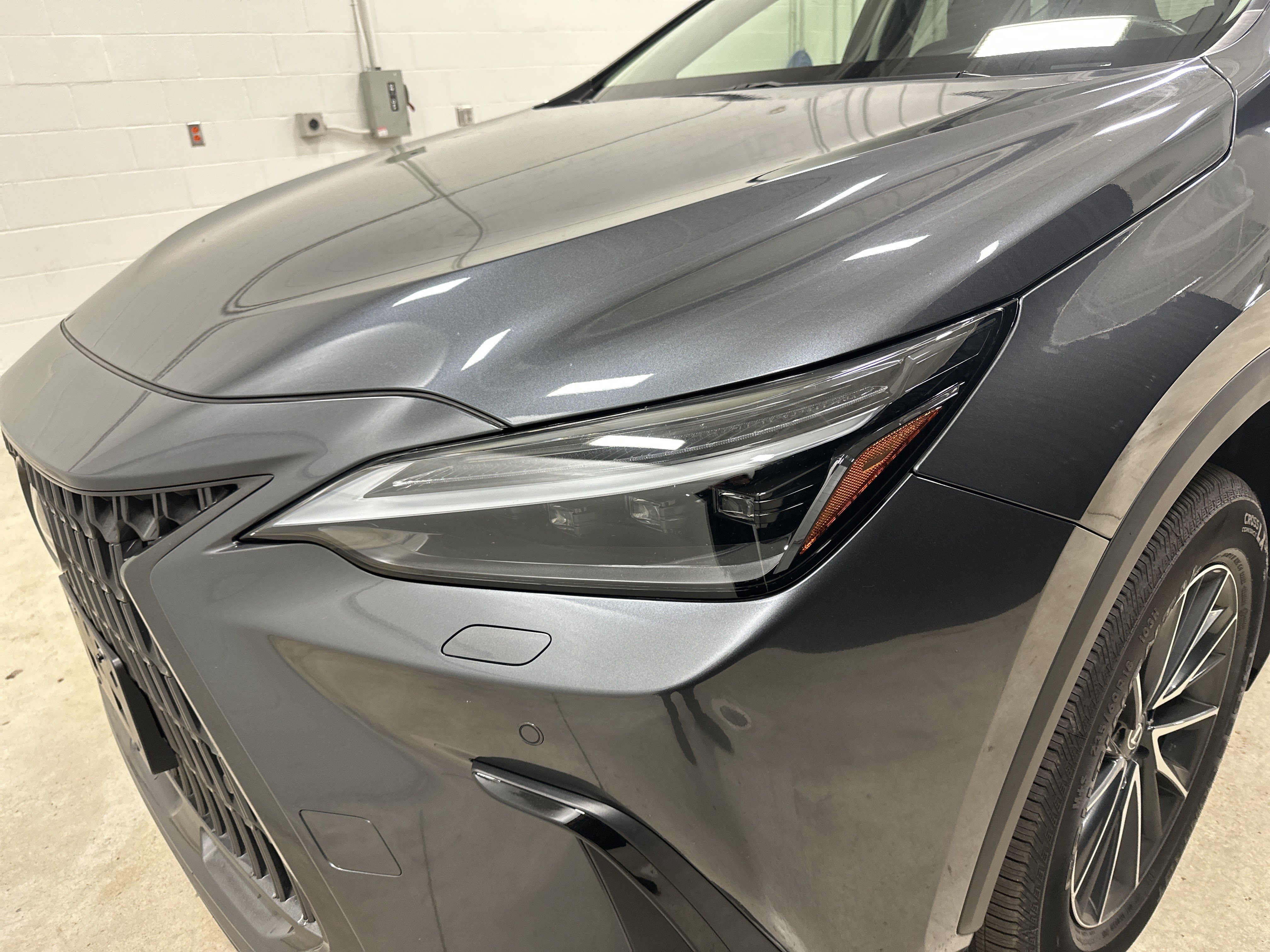 Used 2025 Lexus NX 350h Luxury SUV