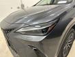 2025 LEXUS NX 350h Luxury SUV