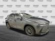 2025 LEXUS NX 350h Luxury SUV