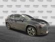 2022 LEXUS UX 250h SUV