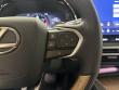 2025 LEXUS RX 350 350 Luxury SUV