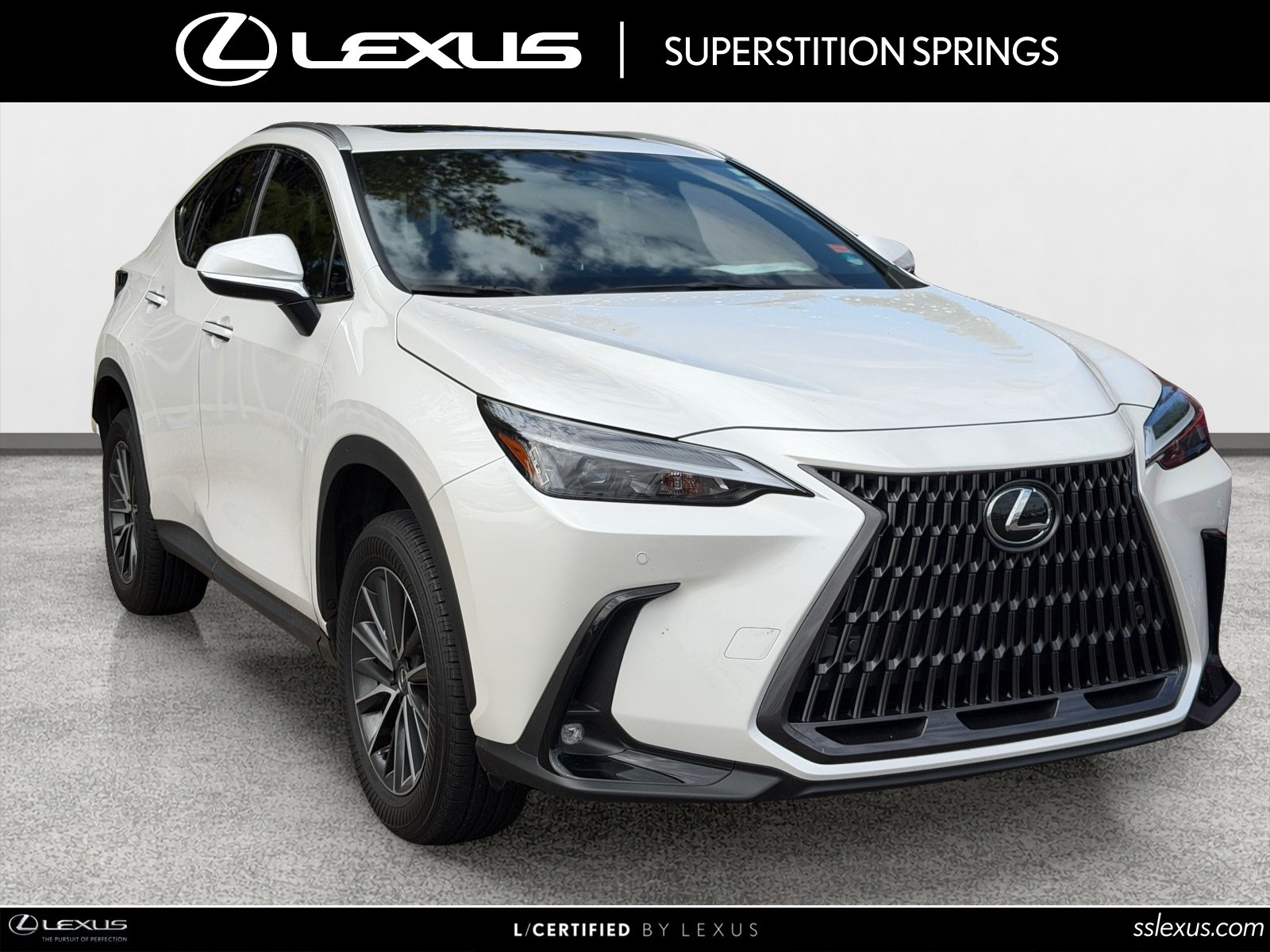 2024 Lexus NX
