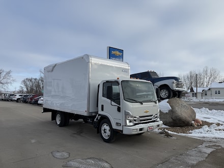2025 Chevrolet Low Cab Forward 4500 HG Medium ASH Gray Truck