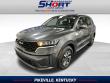 Used 2022 Kia Sorento Hybrid S SUV