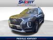 Used 2022 Hyundai Palisade Limited SUV