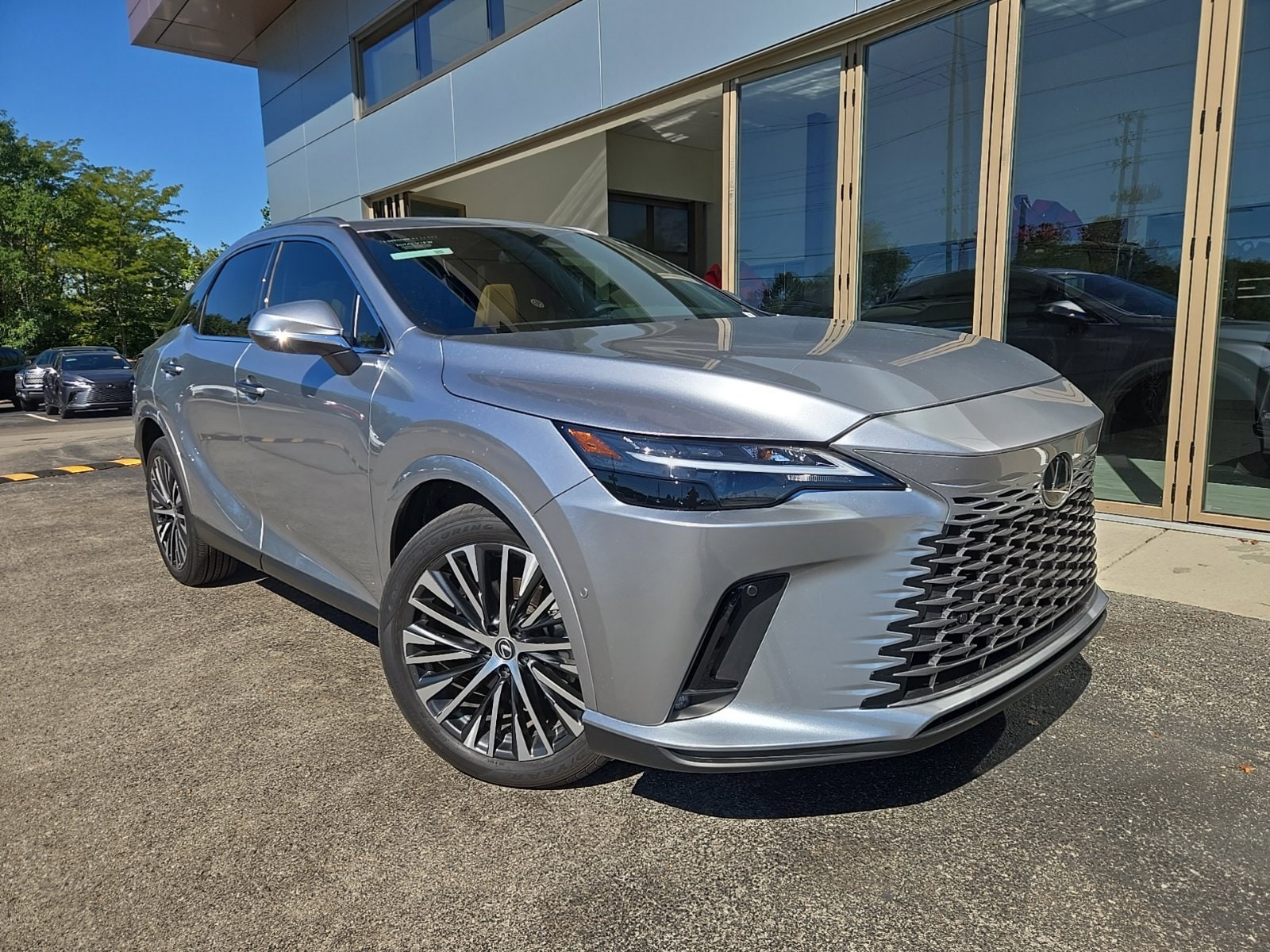 2025 Lexus RX 350 - Photo 48