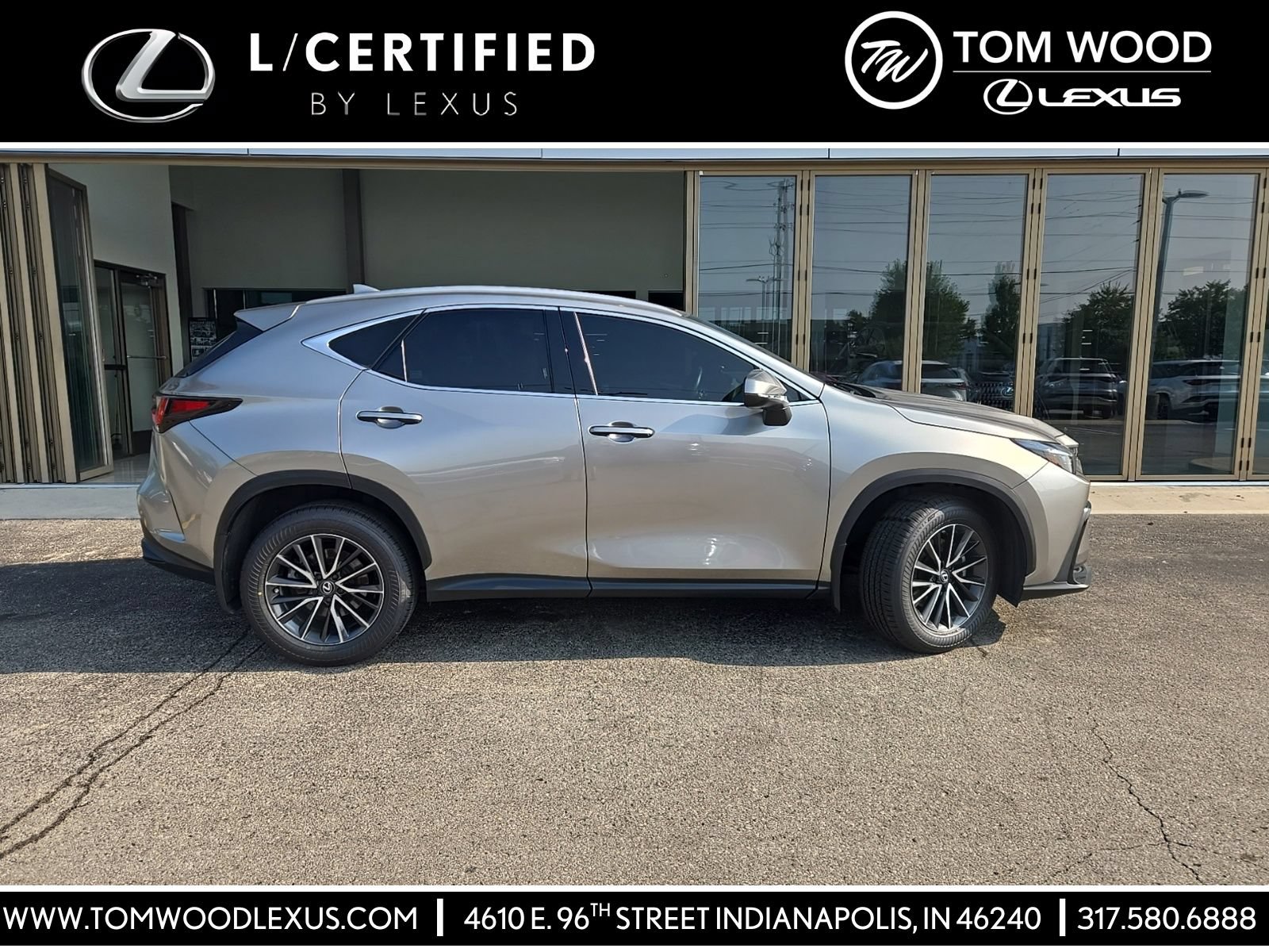 2024 Lexus NX