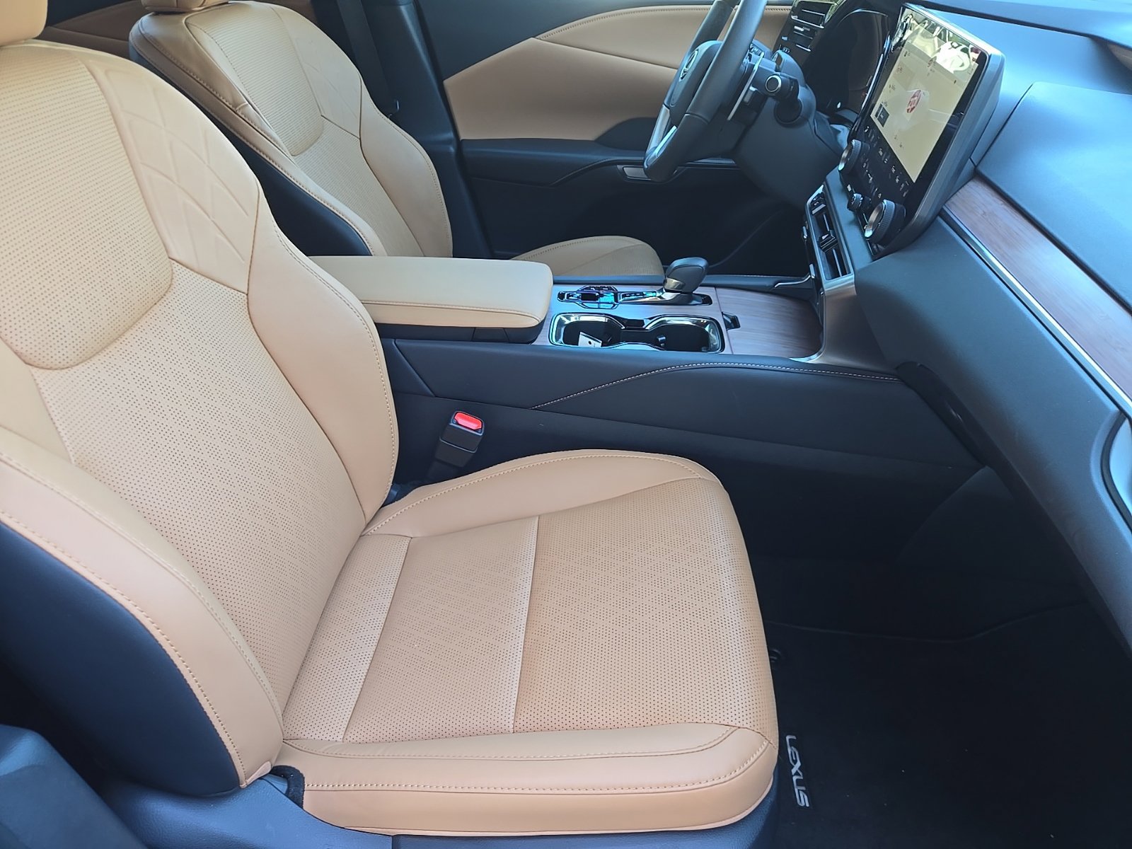 2025 Lexus RX 350 - Photo 31