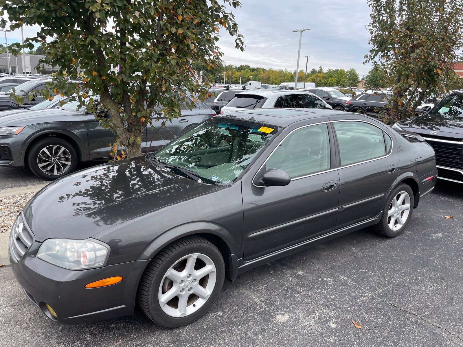 Used 2002 Nissan Maxima GLE with VIN JN1DA31DX2T426042 for sale in Indianapolis, IN
