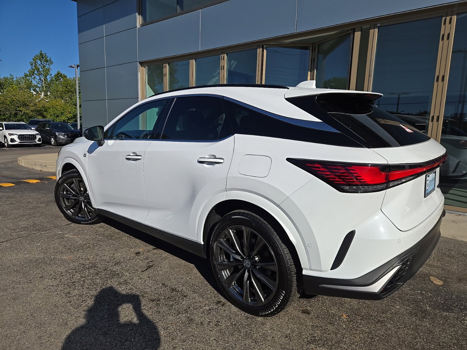 2026 Lexus RX 350 F-Sport - Photo 12