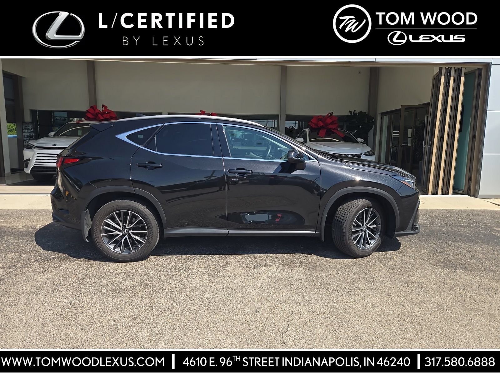 2025 Lexus NX