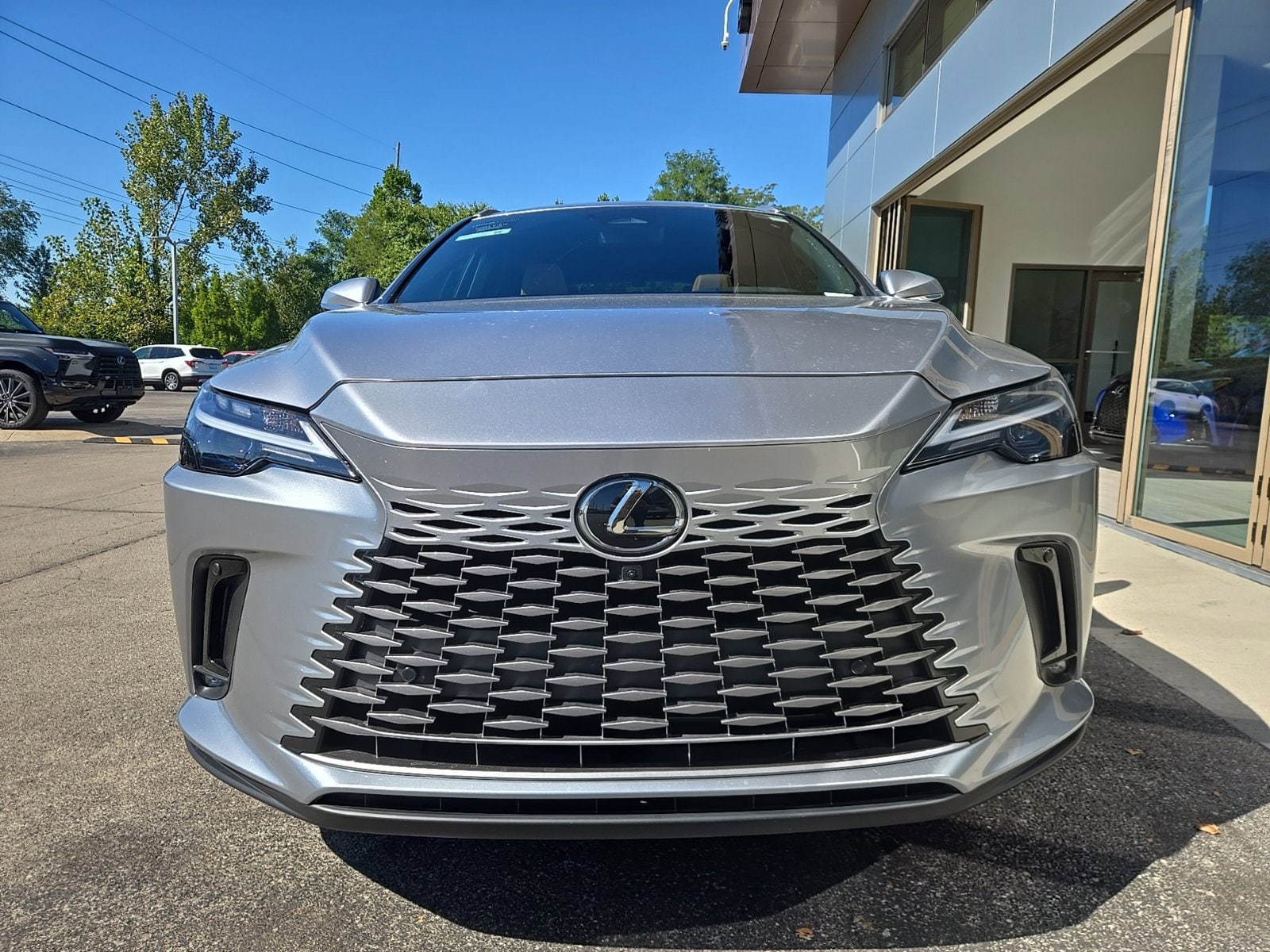 2025 Lexus RX 350 - Photo 9