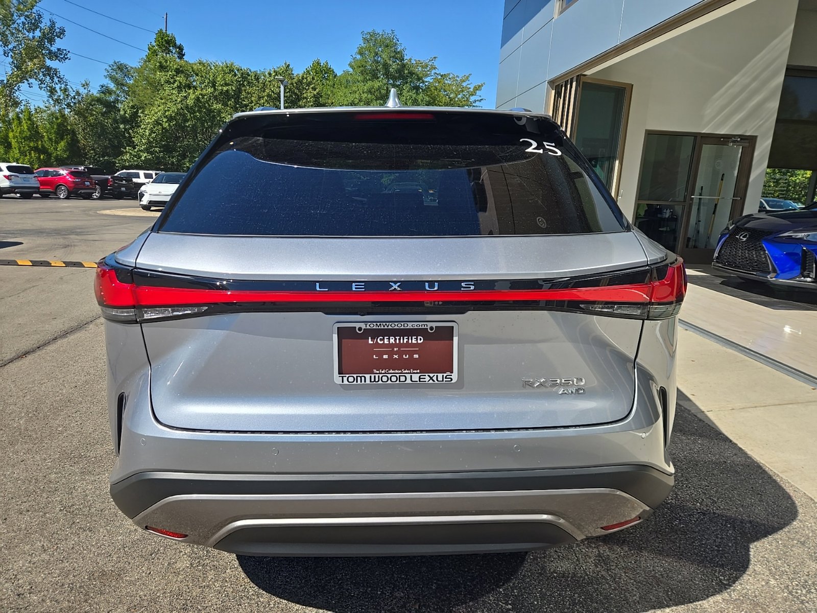 2025 Lexus RX 350 - Photo 18
