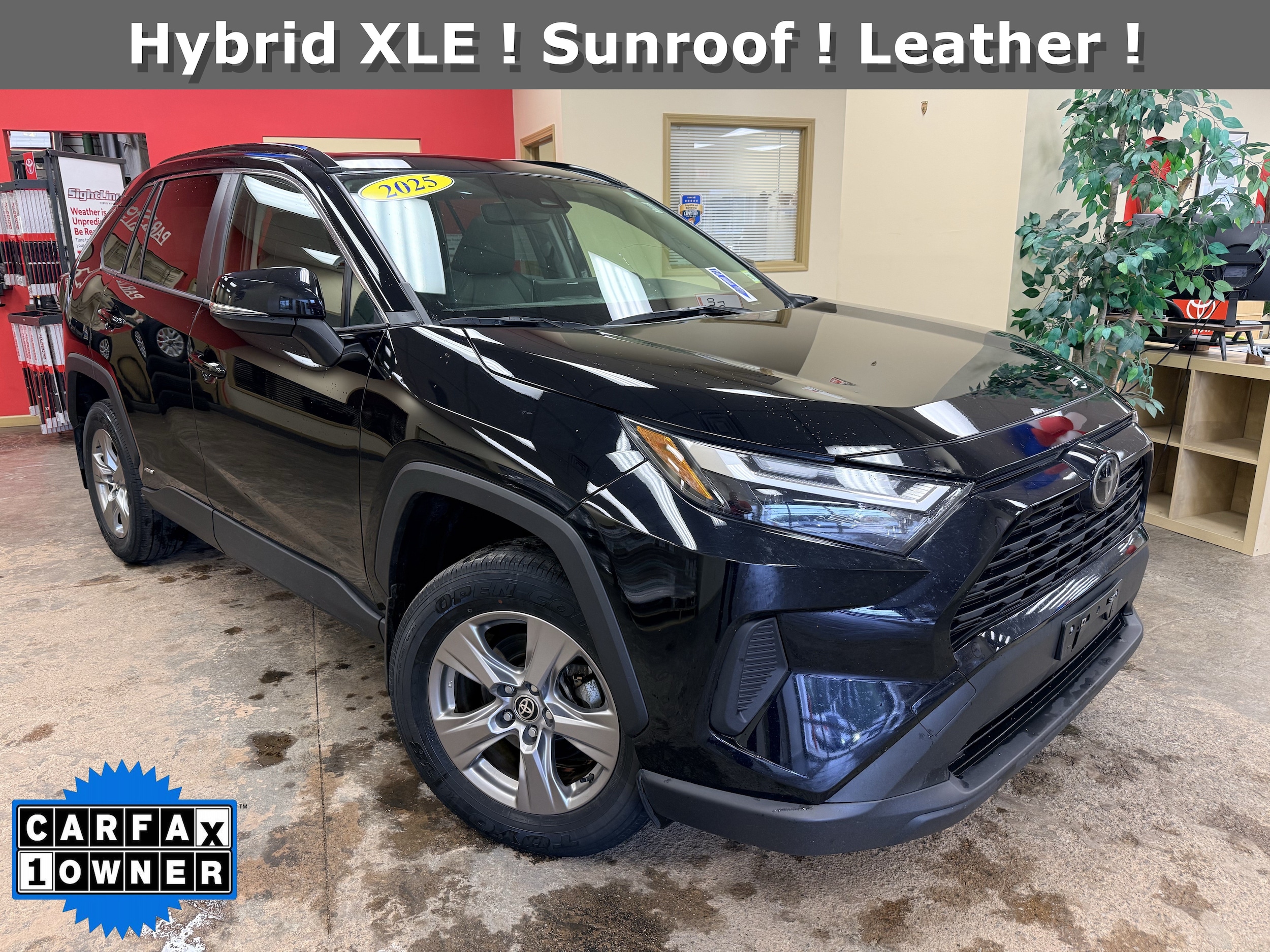 2025 Toyota RAV4 XLE