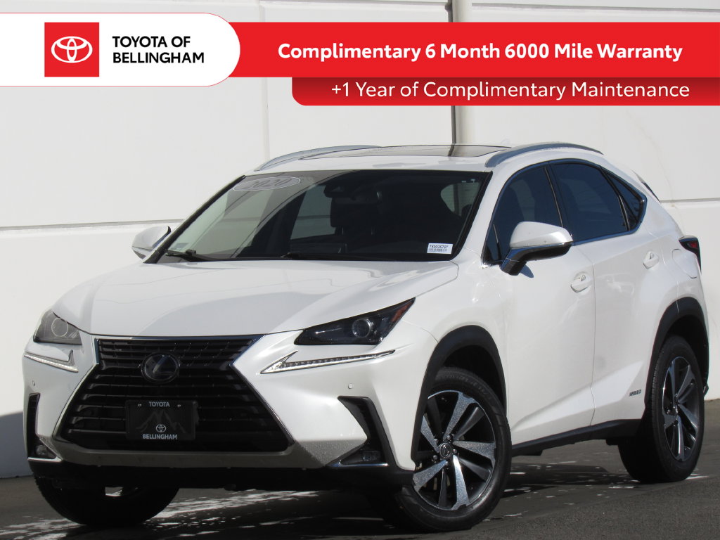 2020 Lexus NX Hybrid 300h