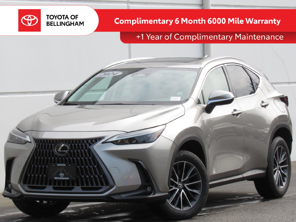 2024 Lexus NX