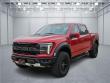 Used 2024 Ford F-150 Raptor Truck SuperCrew Cab