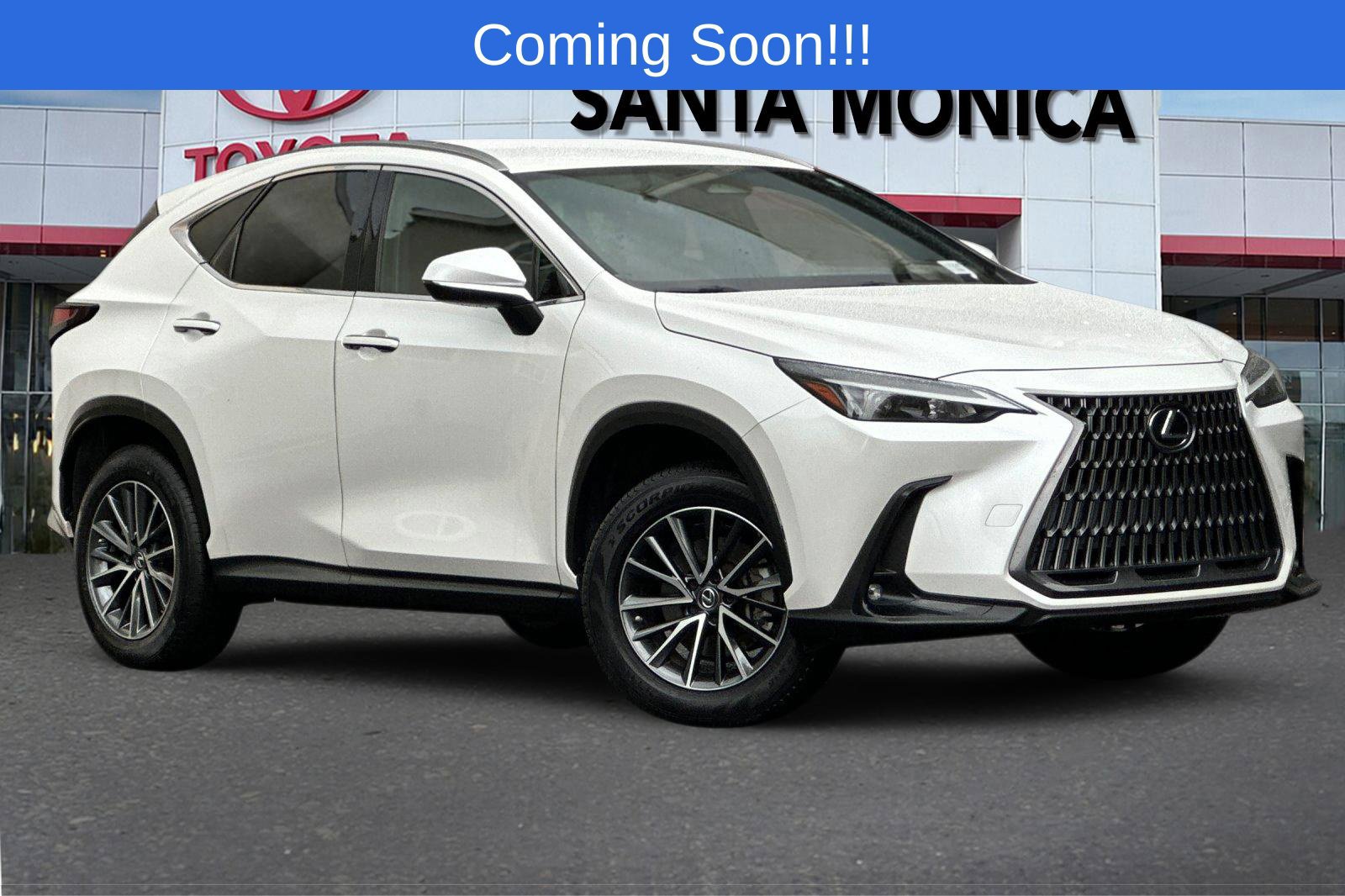 2022 Lexus NX 250