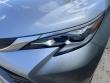 2023 Toyota Sienna Platinum Minivan