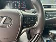 2019 LEXUS ES ES 350 Luxury Sedan