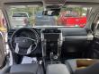 2023 Toyota 4Runner SR5 Premium SUV