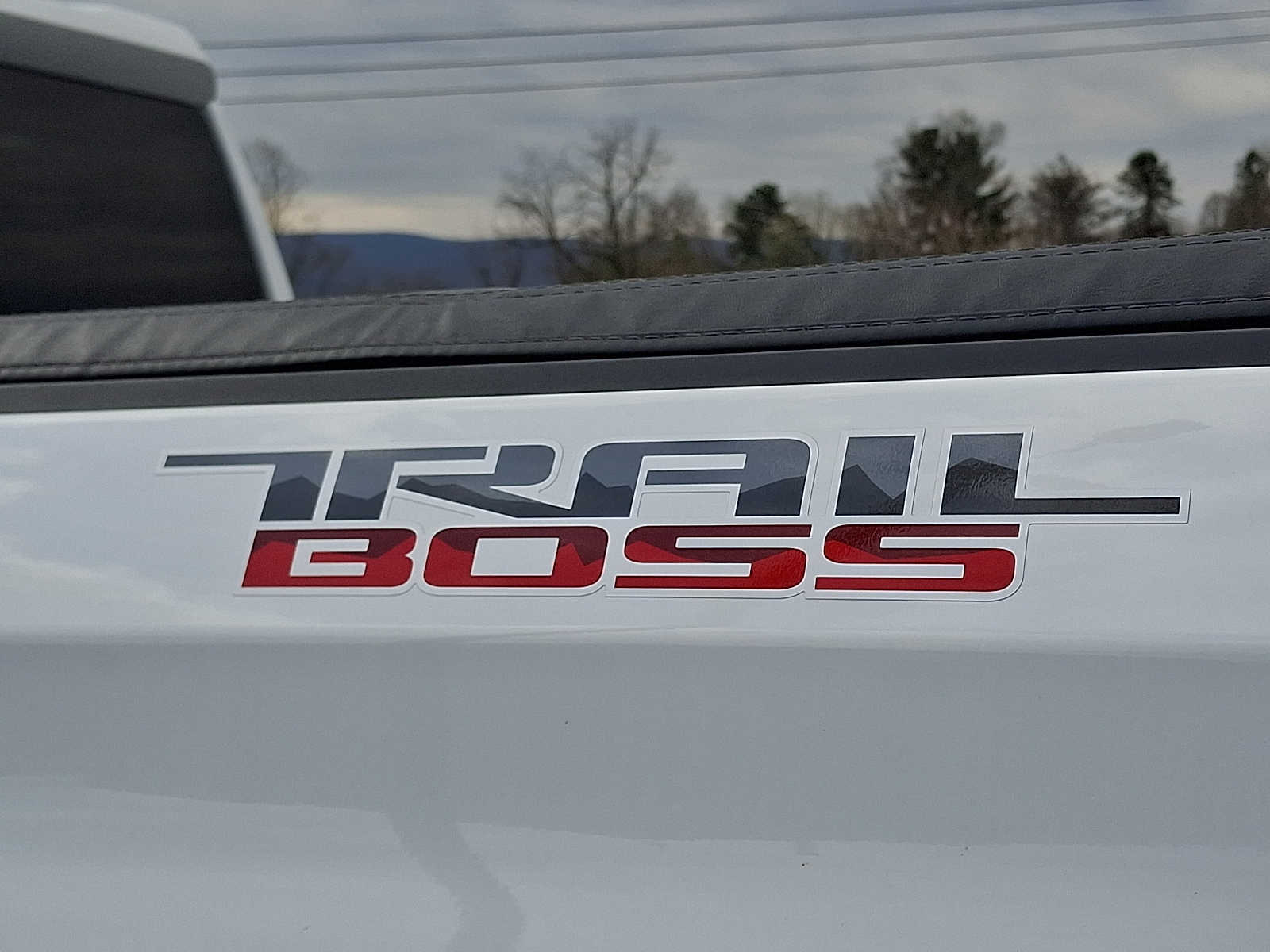 2022 Chevrolet Silverado 1500 Limited Custom - Photo 66