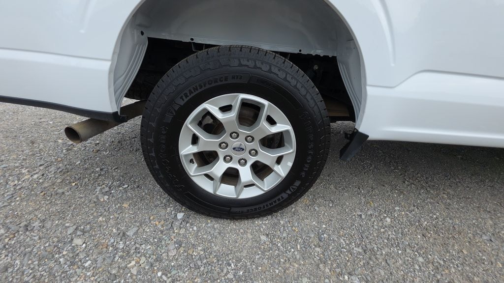Used 2021 Ford F-150 XLT Truck