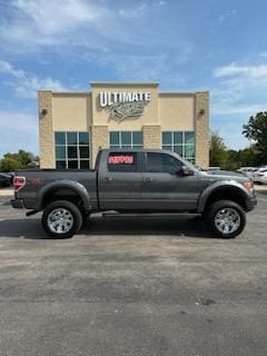 2009 Ford F-150