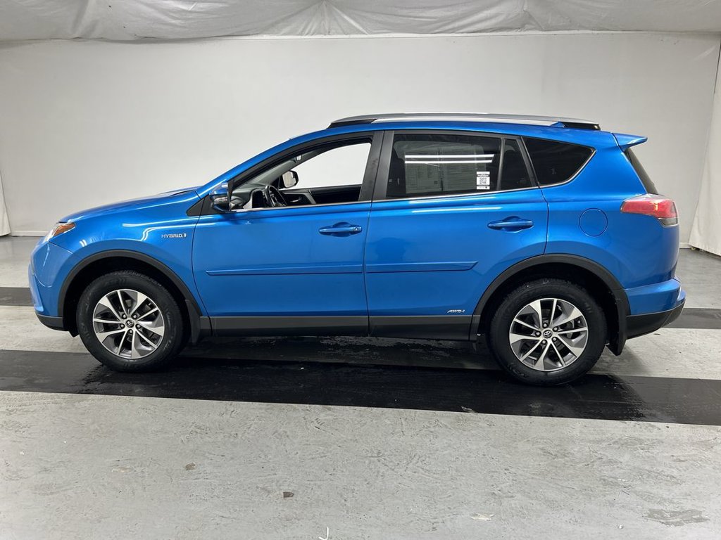 2017 Toyota RAV4 XLE - Photo 6