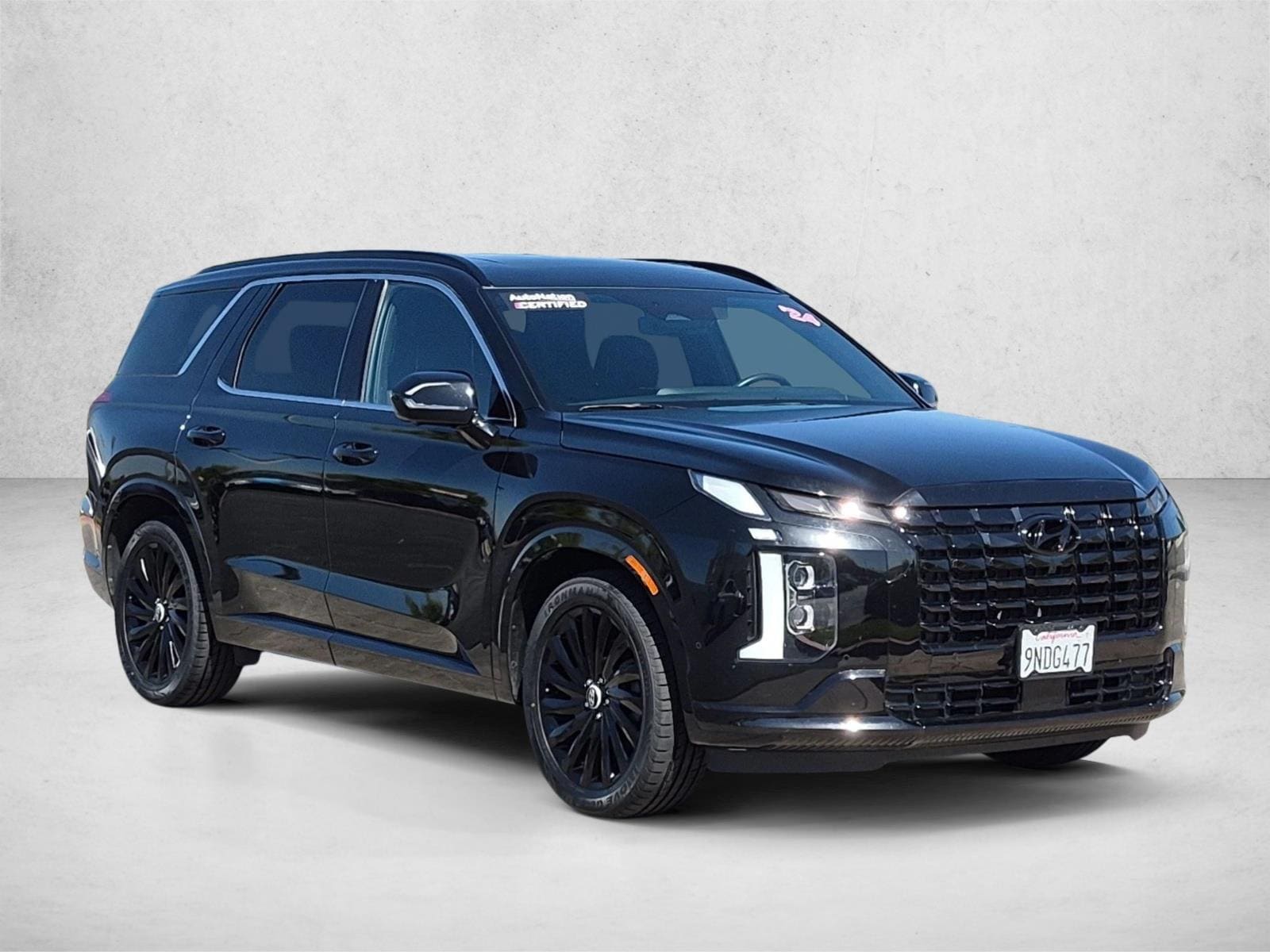 2024 Hyundai Palisade Calligraphy Night Edition - Photo 3