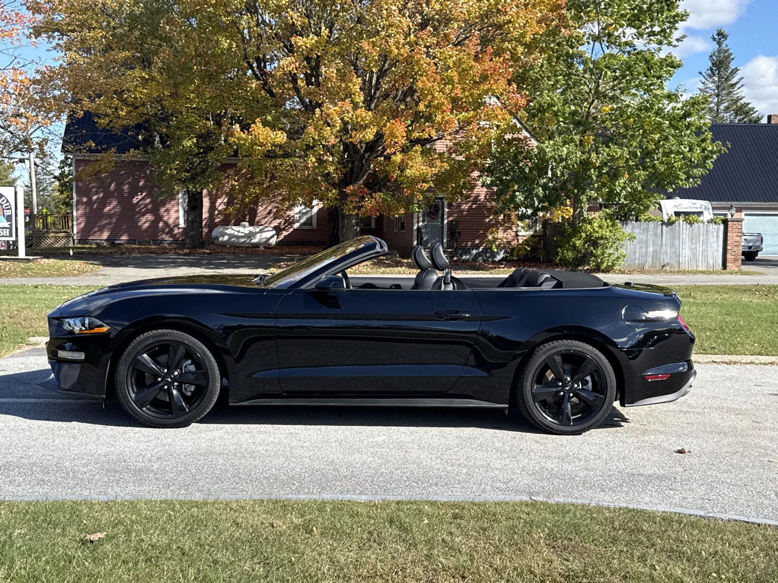 Used 2021 Ford Mustang Ecoboost Convertible