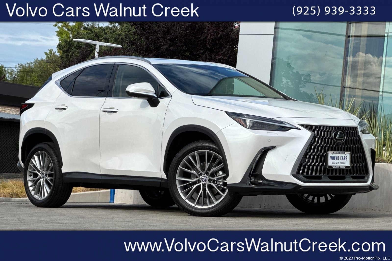 Used 2024 LEXUS NX For Sale in Walnut Creek