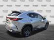 2023 LEXUS NX NX 350 Premium SUV