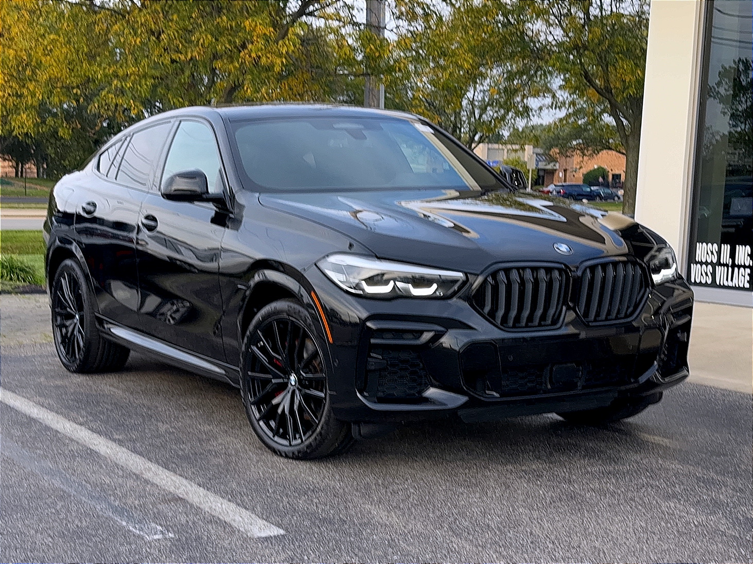 2022 BMW X6