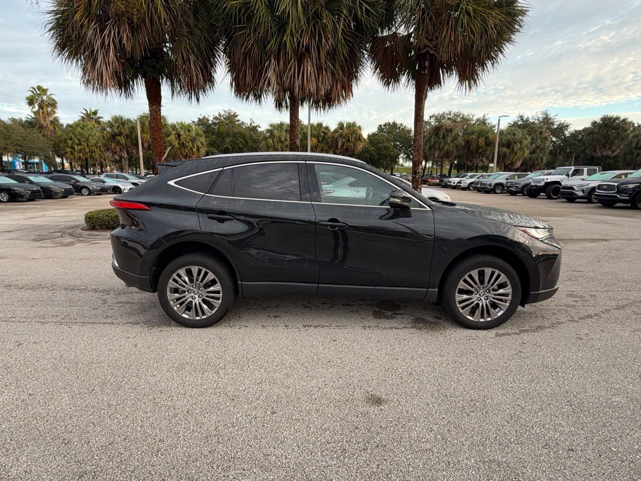 Used 2024 Toyota Venza XLE SUV
