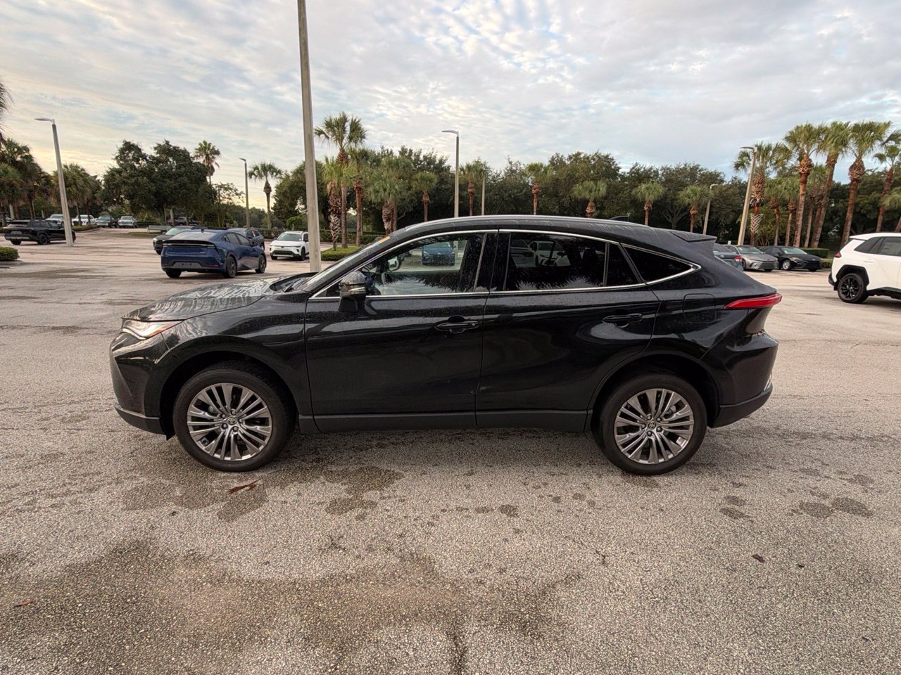 Used 2024 Toyota Venza XLE SUV