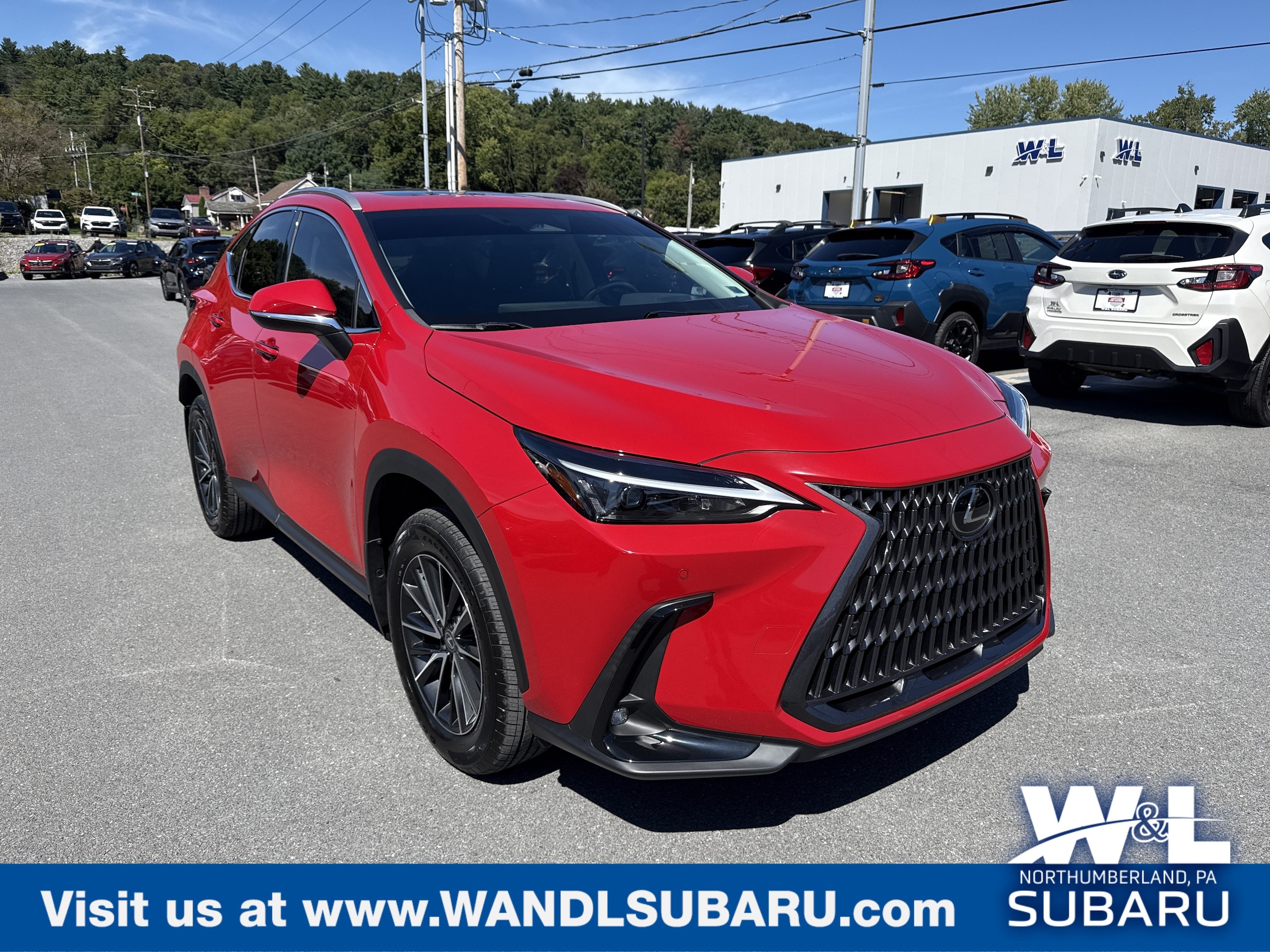 2024 Lexus NX Hybrid