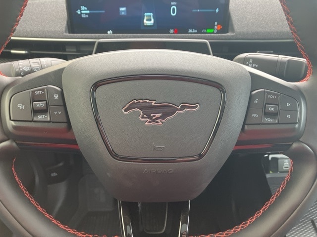 2025 Ford Mustang Mach-E Premium - Photo 10