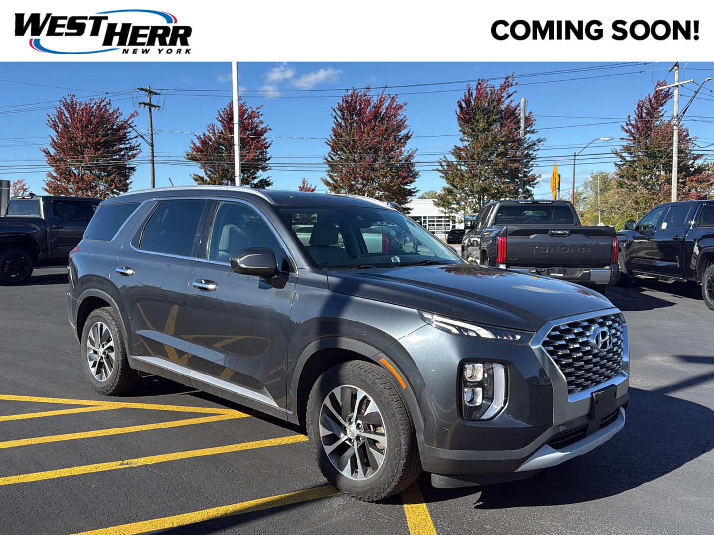  Hyundai Palisade