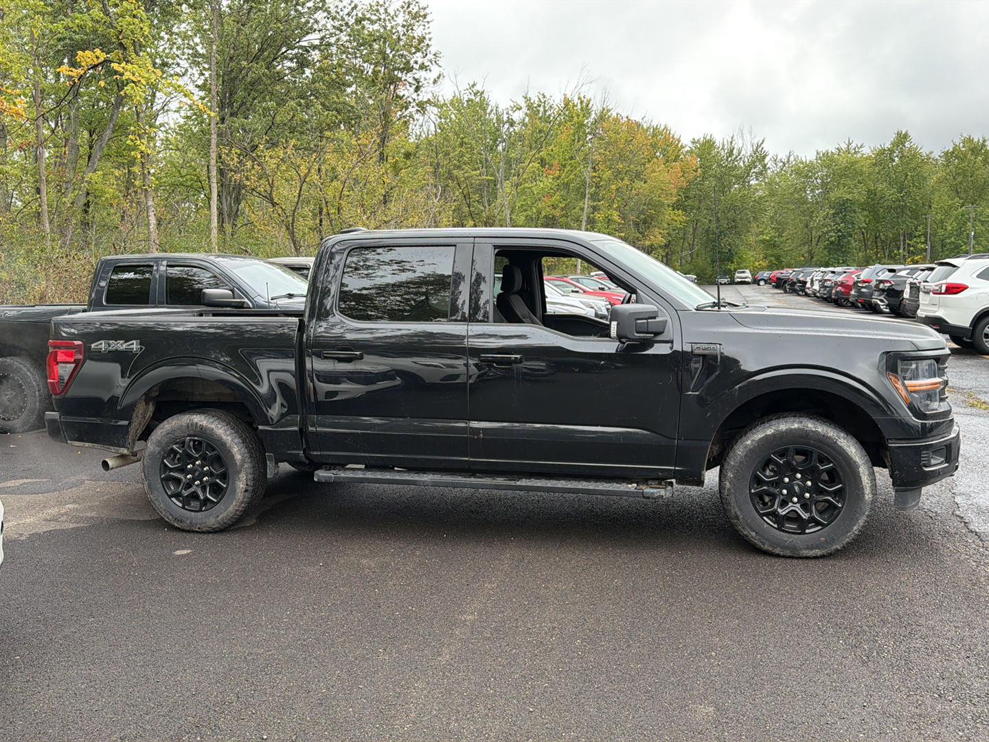 Used 2024 Ford F-150 XLT Truck