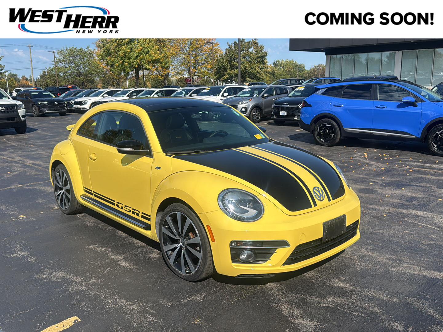  Volkswagen Beetle Coupe