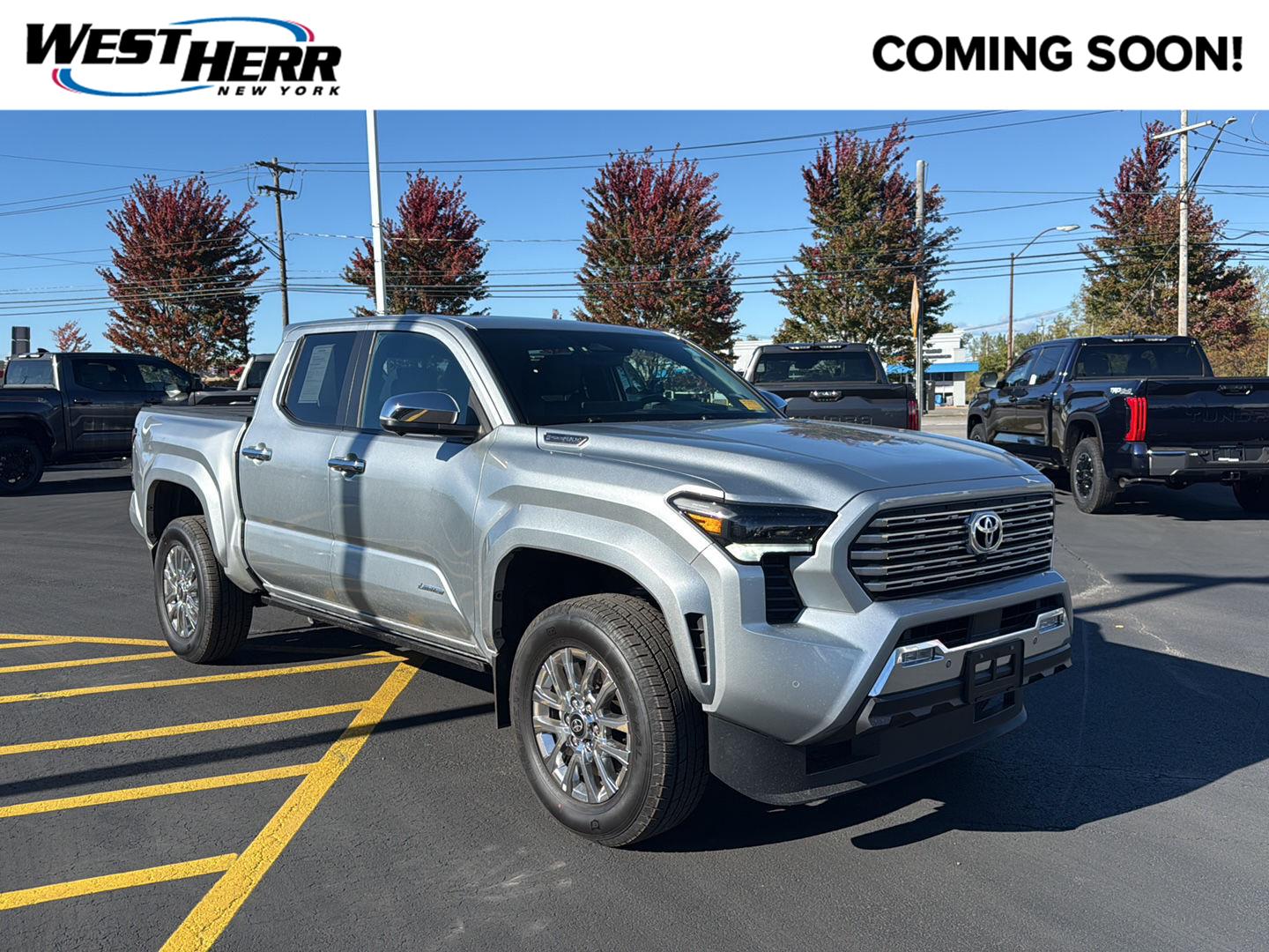 Used 2026 Toyota Tacoma Hybrid Limited Truck