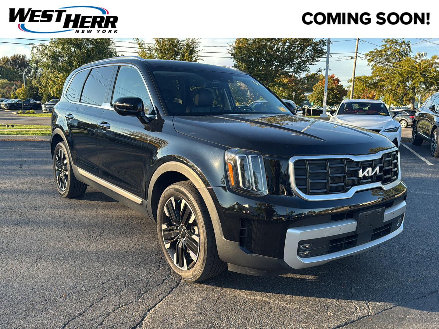 Used 2024 Kia Telluride SX-Prestige SUV
