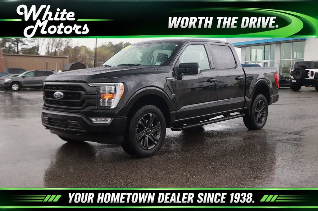 Used 2023 Ford F-150 XL