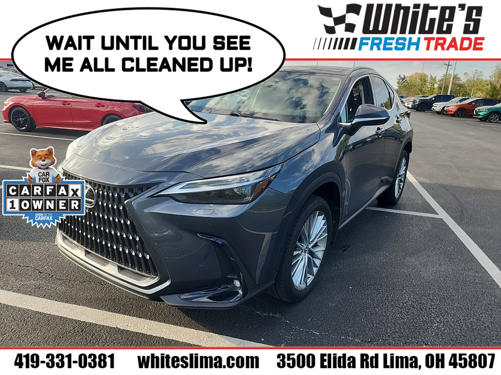  LEXUS NX