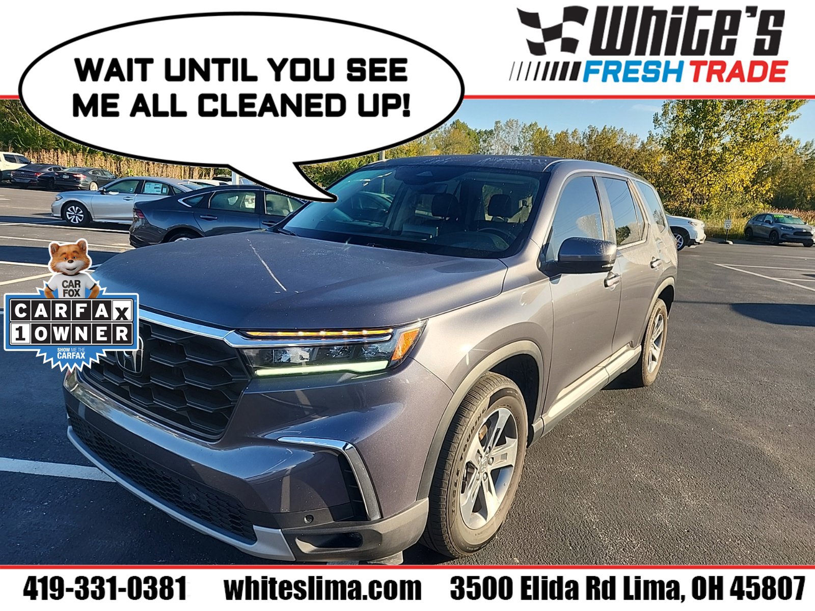 Used 2024 Honda Pilot EX-L SUV